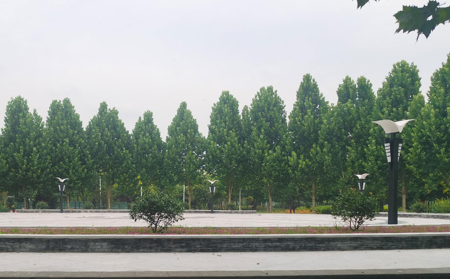 景觀燈，公園景觀燈.jpg